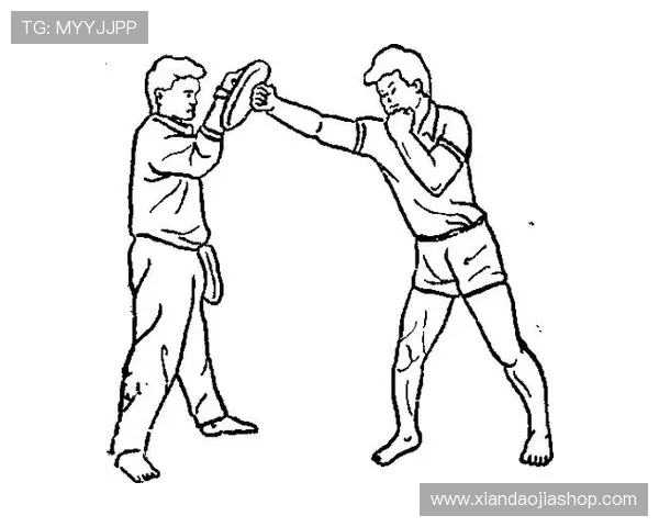 拳击基础入门全攻略 从姿势训练到技巧掌握轻松开启拳击之路