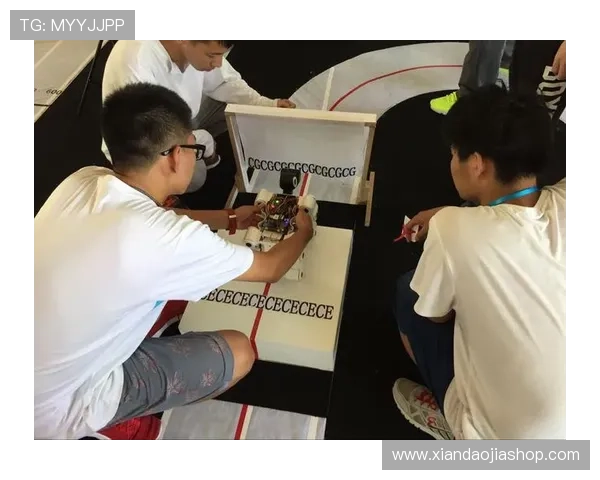 铁人三项战术配合与团队协作策略的优化研究