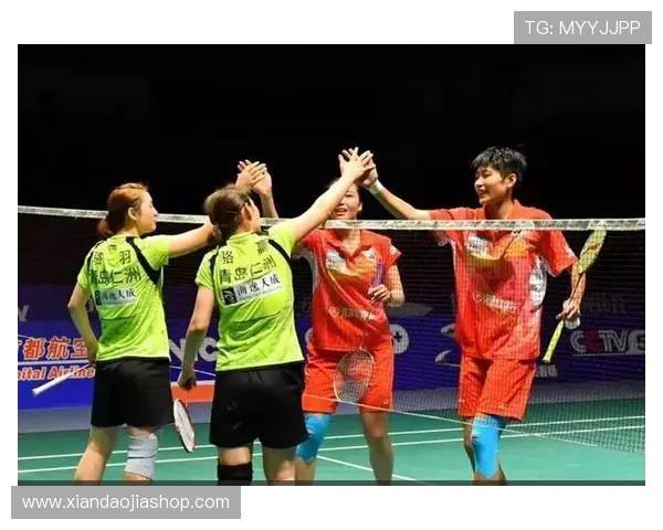 以羽毛球战术配合为核心探究团队协作与比赛胜负关系的研究 以羽毛球战术配合为核心探究团队协作与比赛胜负关系的研究