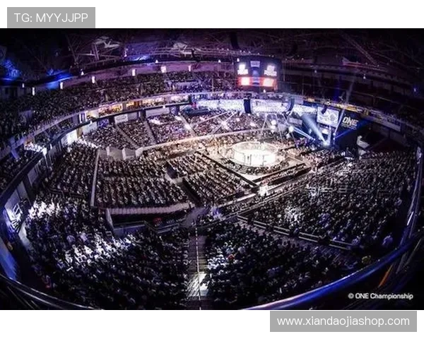 深度解析未来MMA赛事走势与冠军归属权威预测报告