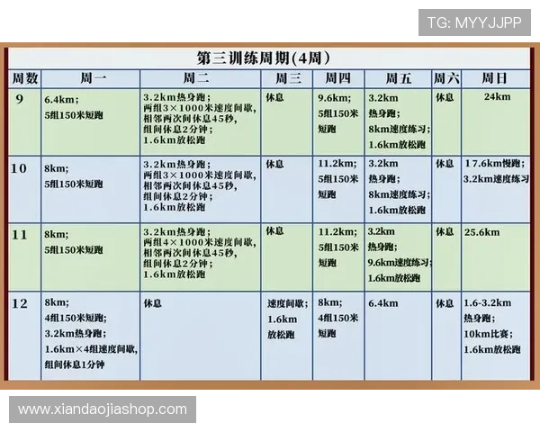 全面解析跨栏训练计划的速度力量耐力协调提升全方位综合实用指南 全面解析跨栏训练计划的速度力量耐力协调提升全方位综合实用指南
