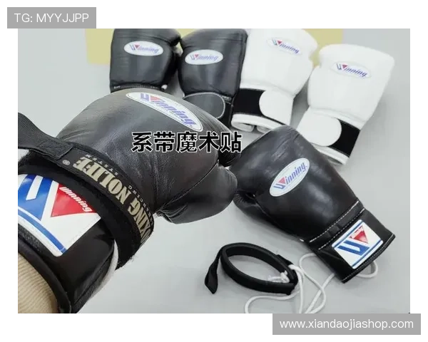 拳击装备推荐与选购指南帮助你全面提升训练与比赛表现